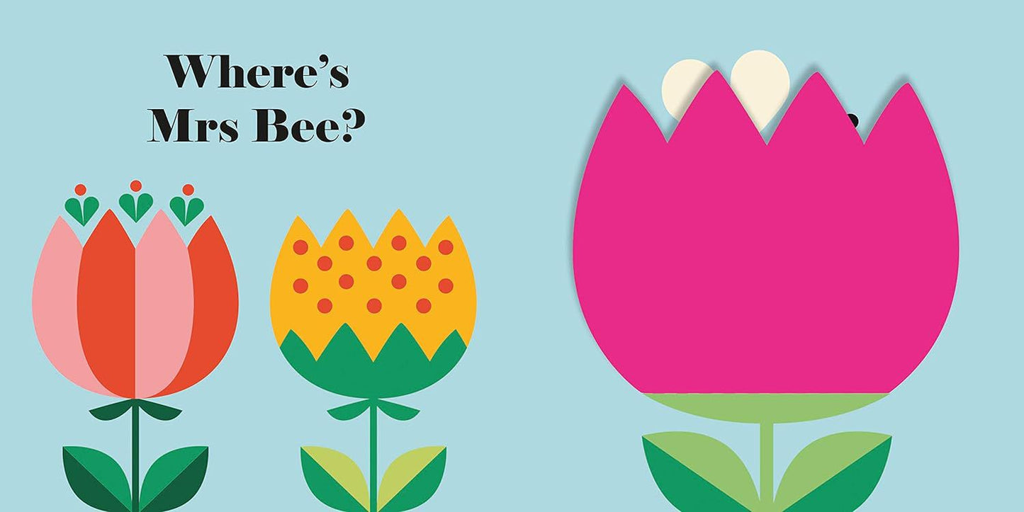 Nosy Crow - İngilizce Bayan Uğurböceği Nerede? Kitap