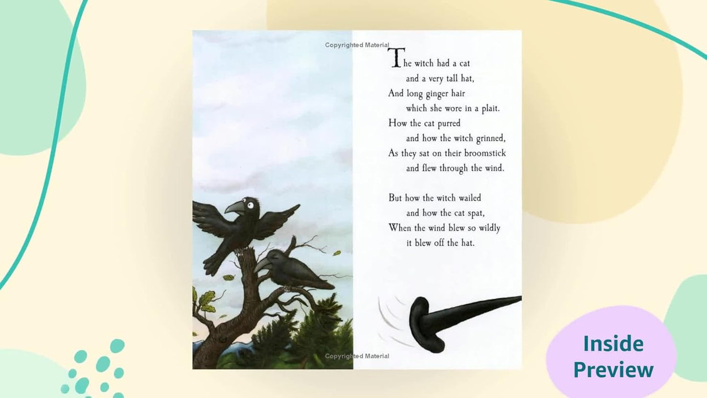 Pan Macmillan - Julia Donaldson ve Axel Scheffler Room on the Broom İngilizce Hikaye Kitabı